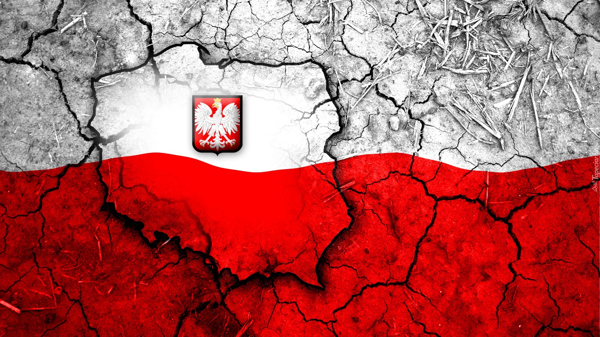 grafika polska godło mapa flaga